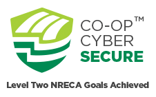 cyber secure