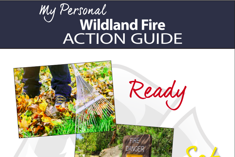 action guide