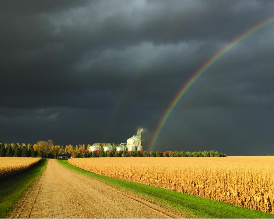 Farmstead weathering a storm